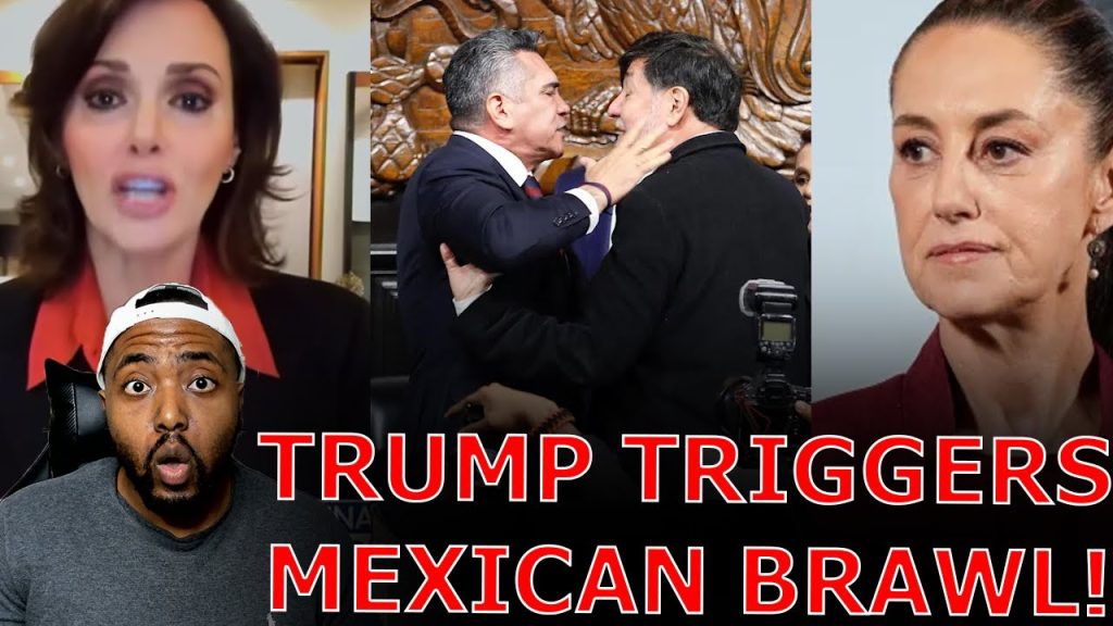 Mexico Senate EXPLODES INTO BRAWL Over ‘TRAITOR’ BEGGING Trump To Deploy Military To Fight Cartels