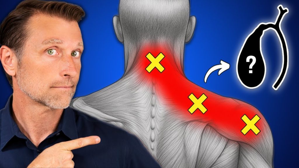 The REAL Cause of Neck & Shoulder Pain The REAL Cause of Neck & Shoulder Pain