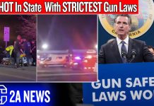 A CHILDREN’S Birthday Party Mass Shooting… in the State With EVERY Gun Law