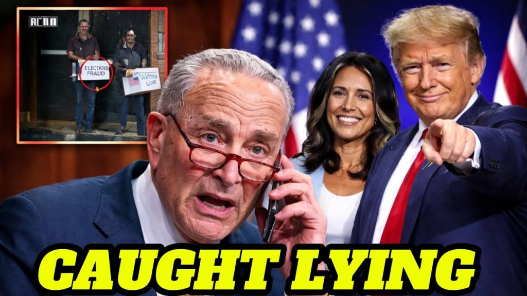 Trump Just Ended Their Election Rig! Schumer Caught LYING About Voter ID!