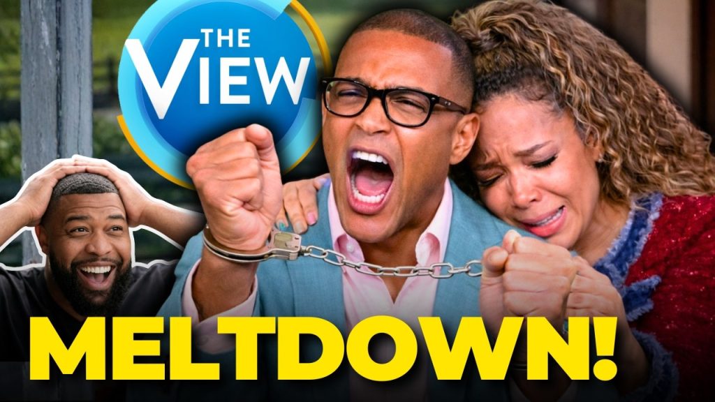 Don Lemon MAKES MASSIVE LEGAL MISTAKE On The View