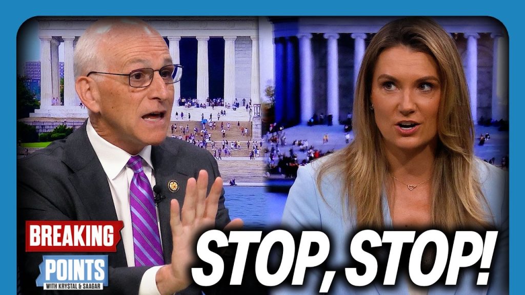 STOP! STOP! Krystal HEATED DSA Debate w Top Dem